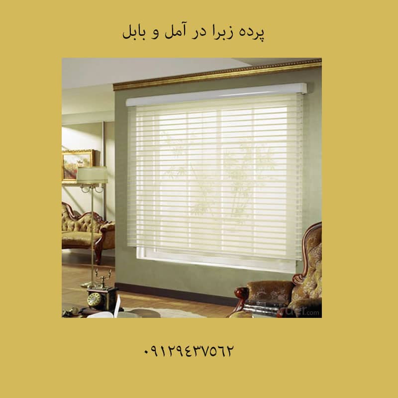 نمایندگی زبرا در رامسر